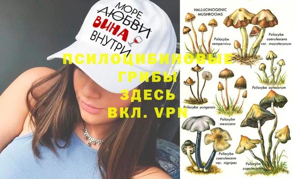 каннабис Арсеньев