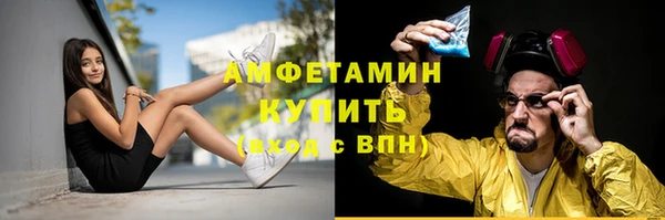 молекула духа Богородск