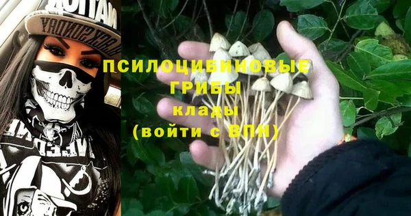 молекула духа Балахна