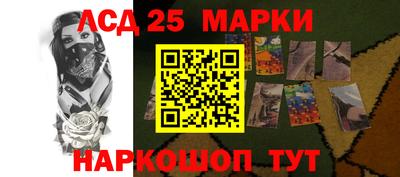 гидропоника Краснознаменск