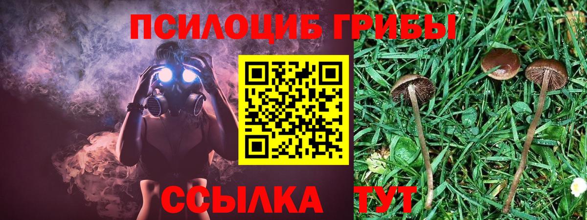 Галлюциногенные грибы GOLDEN TEACHER Ейск